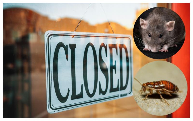 Live cockroach and rat infestations found as several food businesses ordered to close across country 
