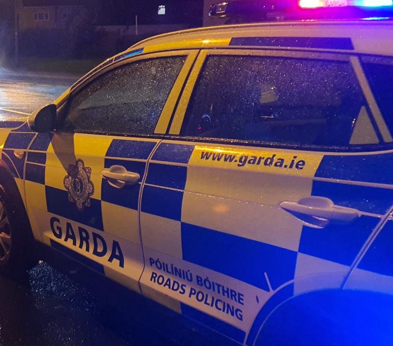 Elderly woman dies after being struck by car in Carlow road crash