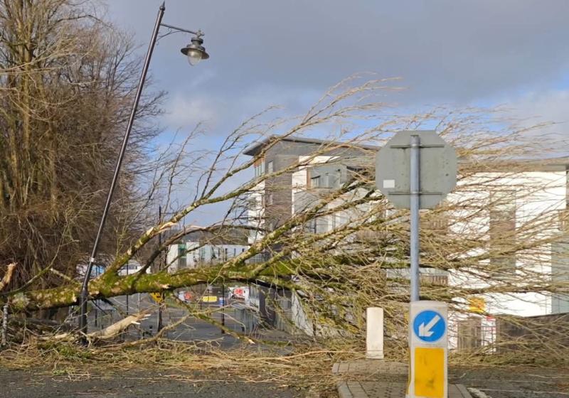 A dedicated Emergency Response Hub has been set up by Mayo County Council to assist people affected by Storm Eowyn