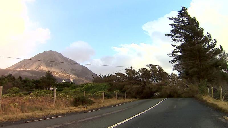 Devastating Mayo story to feature on new RTÉ documentary about impact of Storm Éowyn