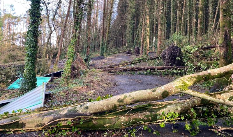 OPINION:  Storms, sympathy and collective amnesia