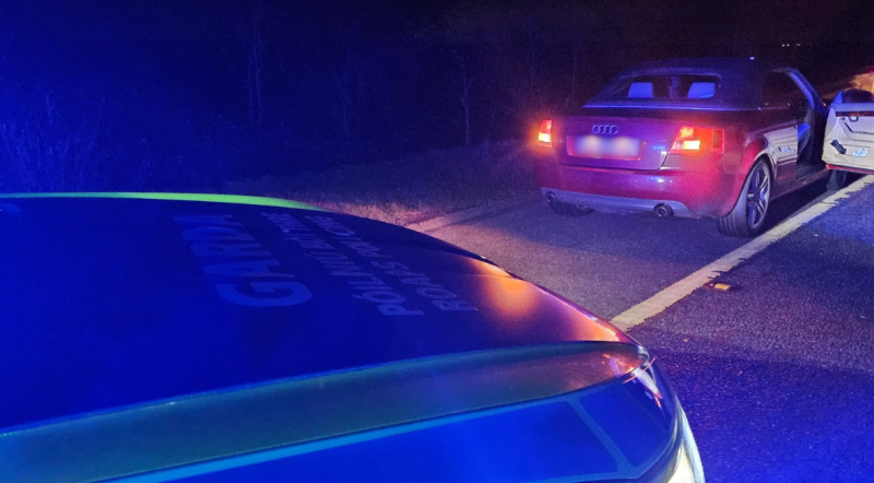 Driver under the influence stopped by garda&iacute; but you won't believe the other reasons...