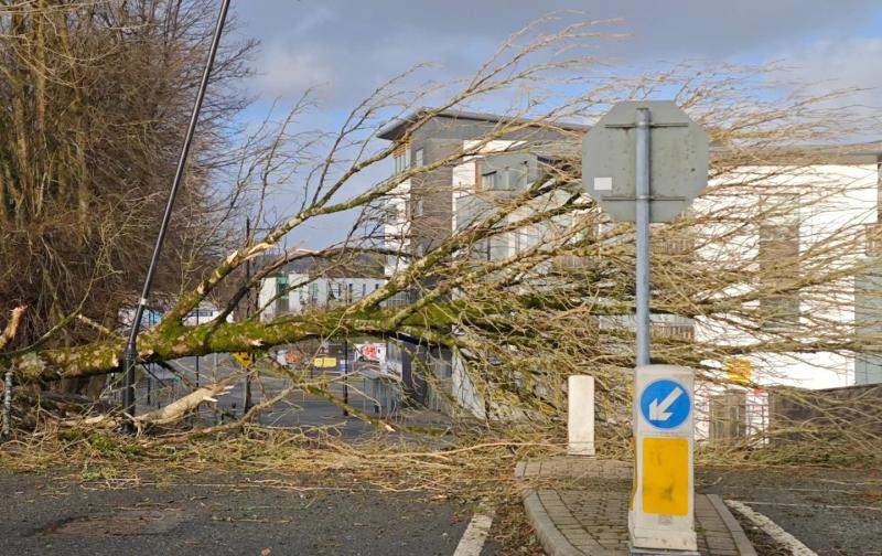 Mayo councillor has questioned who will benefit from Storm Eowyn aid