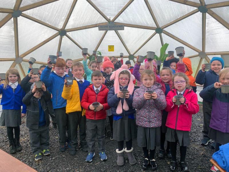 Castlebar school chosen to pilot new programme Little Green Fingers 