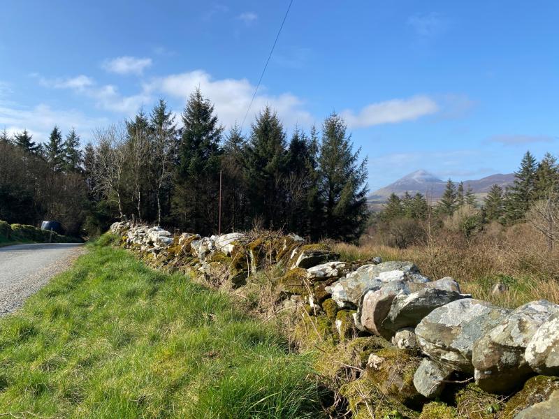 Calling all walkers:  Boot up for the Croagh Patrick Heritage Trail's annual festival 
