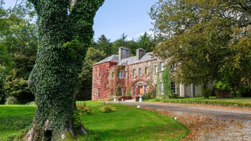 Newport House has been put up for sale for &euro;3 million