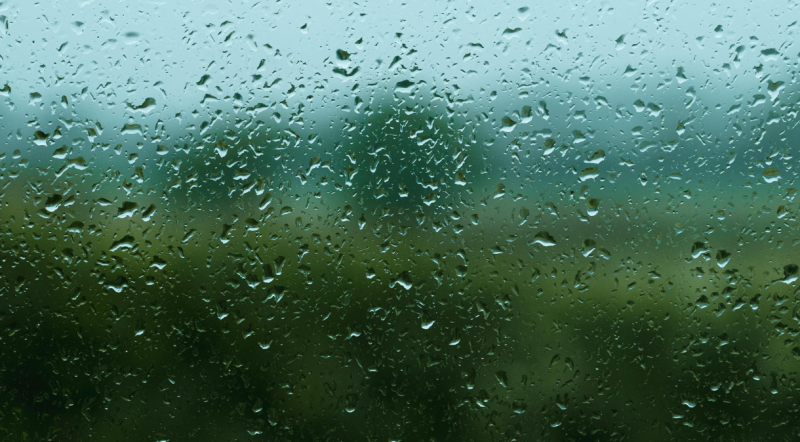 ALERT: Get the brolly! Met Éireann issue a rain warning for ten counties 