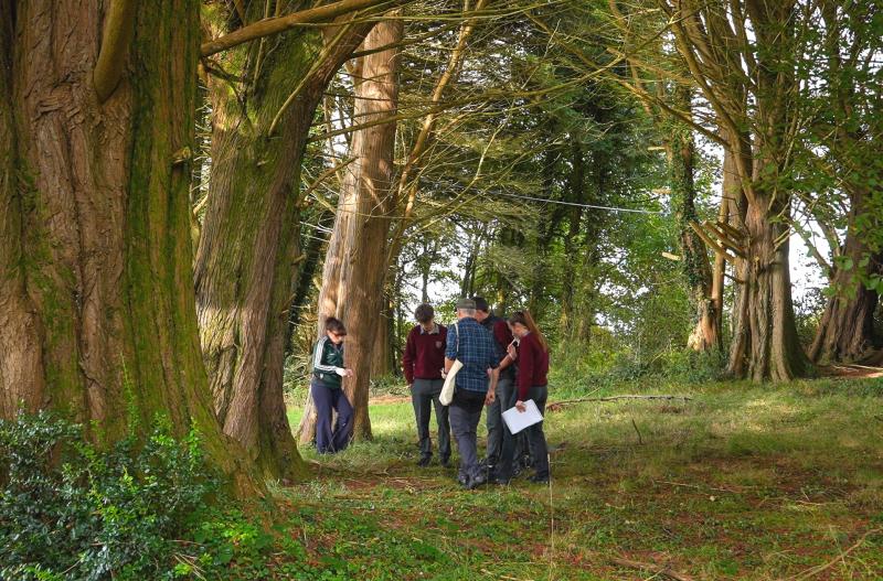 Coming together to protect nature in Tourmakeady 