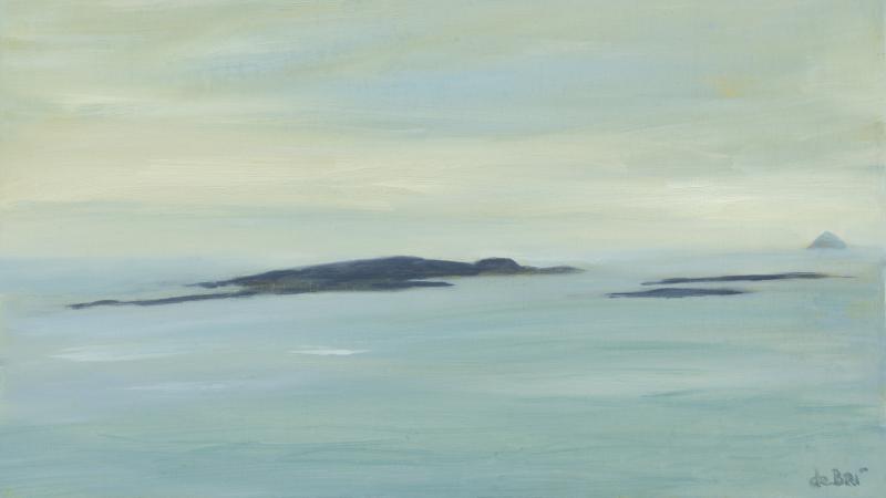 Seven Mayo islands captured in stunning new artwork