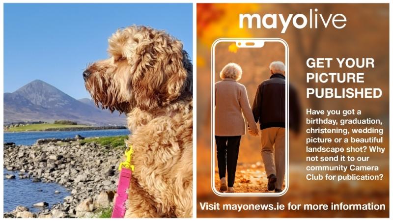 Got a local picture or landscape shot from the great weather? Send it to the Mayo Camera Club! 