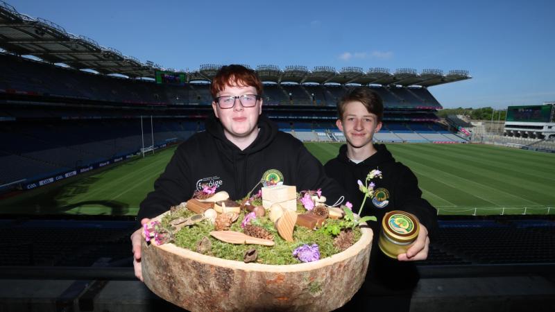 Two Mayo students win awards at national youth entrepreneur event
