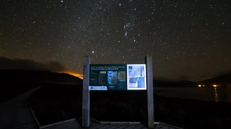 Celebrating nature: free events in Mayo for Biodiversity Week 2025 