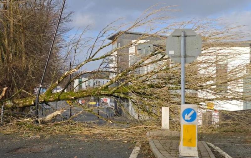 ‘The big failure was the utilities’ - Mayo County Council report on Storm Éowyn