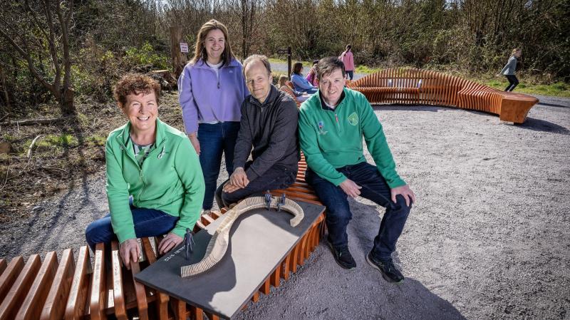 Mayo man’s artwork to be officially unveiled in Roscommon