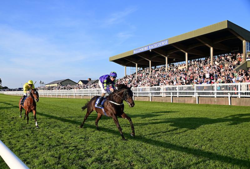 Winner at Mayo racecourse all set for the big stage at Royal Ascot