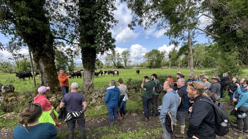 Farm Walk Highlights Innovative Grassland and Nature Management at Mayo Family Farm 