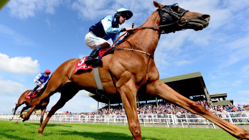 REVEALED: Dates for event-filled July at Mayo racecourse 