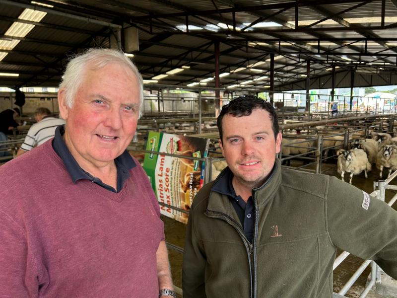 Goodbye itchy jumpers, hello 3D houses - the future of Irish Wool