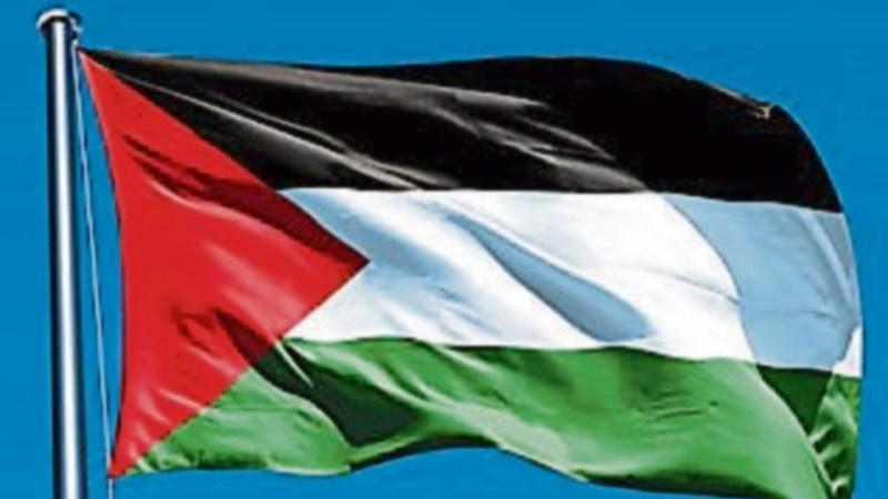An exciting day of Mayo Celebrates Palestine to be held in Mayo town