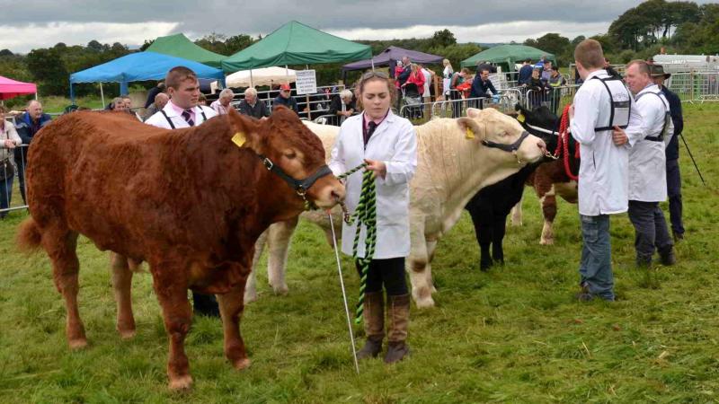 Popular annual Mayo agricultural show set for new location this year