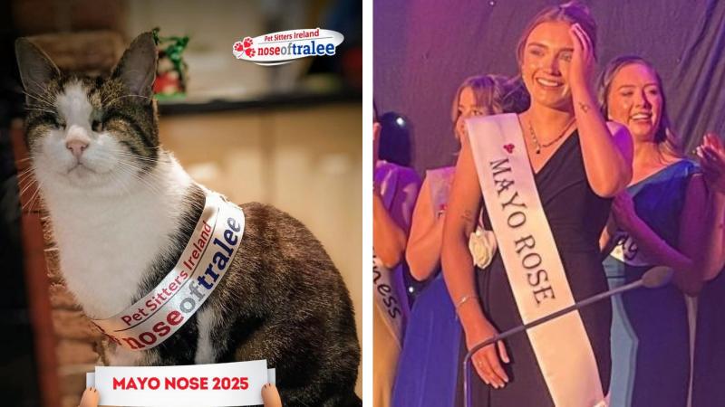 Meet the blind cat crowned Mayo Nose in the ‘Nose of Tralee’