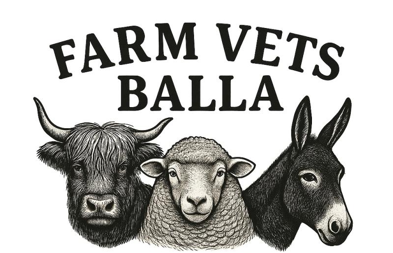 New veterinary practice opening in West Mayo