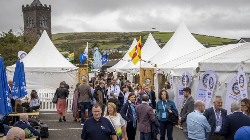Standout year for Mayo producers as Blas na hÉireann finalists announced