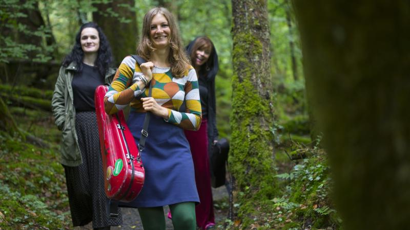 Mayo arts centre unveils superb selection of music acts