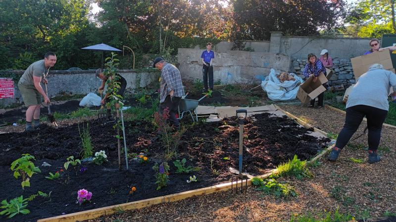 How growing blueberries is making Mayo more climate resilient