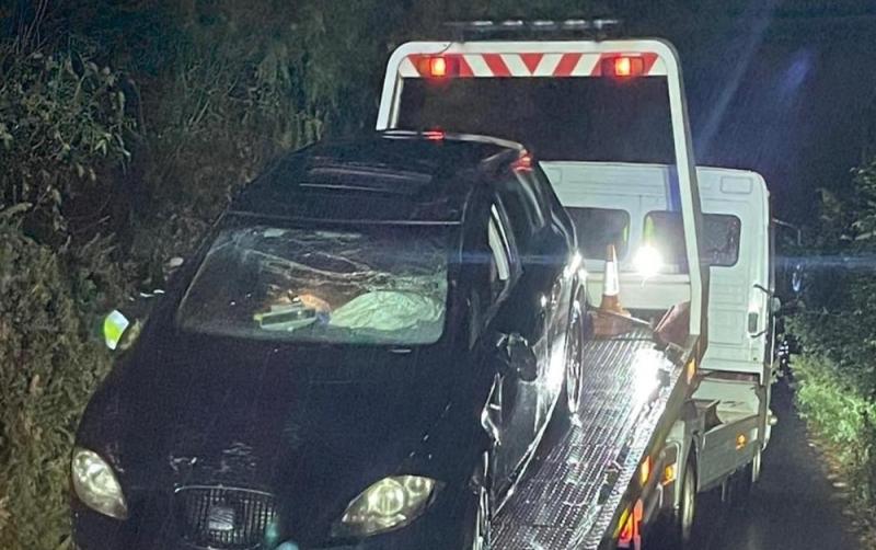 Gardaí share horror crash pictures after learner driver found five times over limit