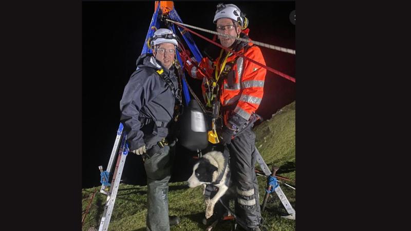Ship the Sheepdog rescued after falling 90 metres down a cliff face in Mayo