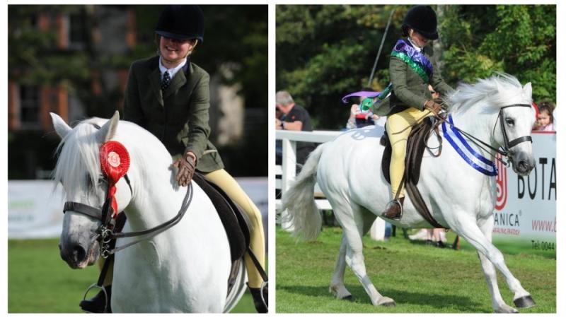 Mayo student and her mare win at Connemara Pony Show