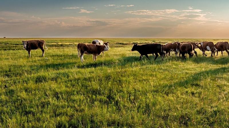 Mayo Minister confirms over 9000 local farmers will receive payments under ANC scheme