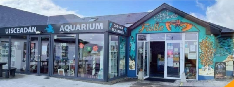 “A space where families can just be”: Sensory Sundays at Achill aquarium connecting Mayo people.