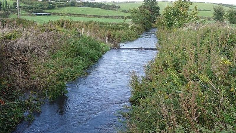 A section of the Moyour River in Kilmeena is to be cleaned by Mayo County Council