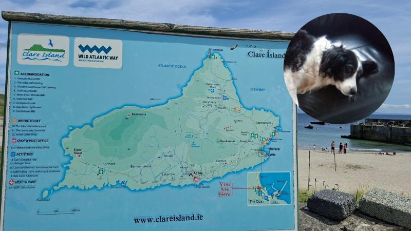 ‘Greeting dog’ of Mayo Island memorialised in moving poem
