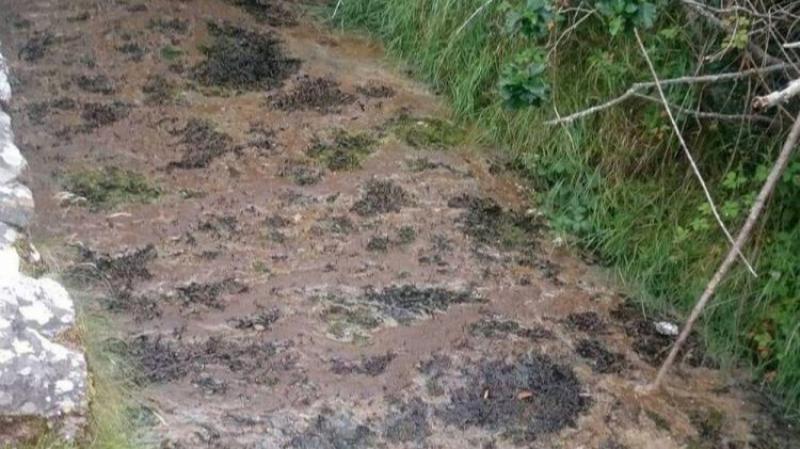 Fresh ‘uncertainty’ for Mayo town’s 2030 sewerage plant timeline
