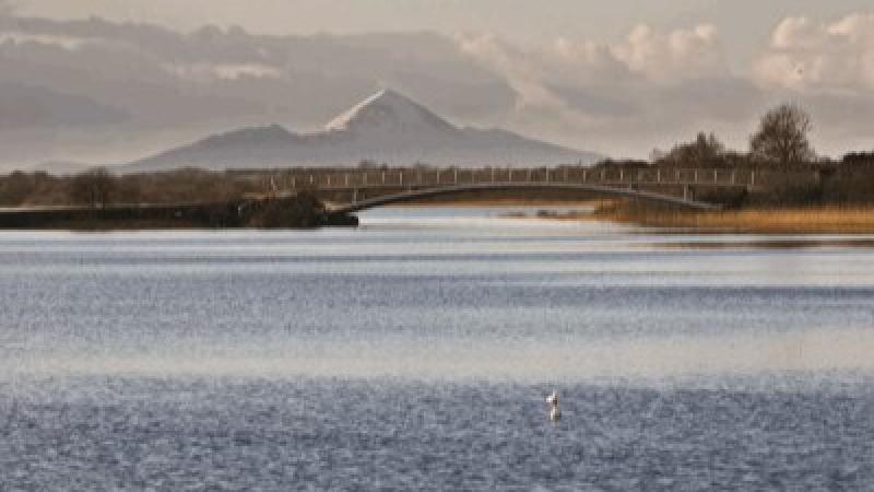 Popular scenic Mayo lake looking for new coffee dock operator