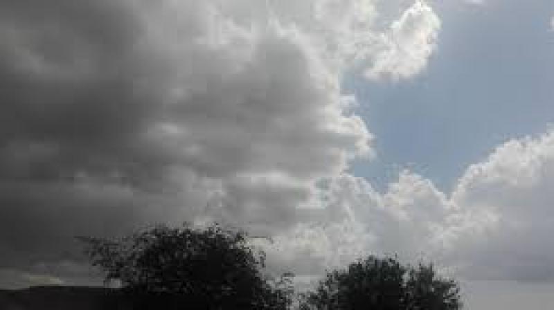 Mayo weather