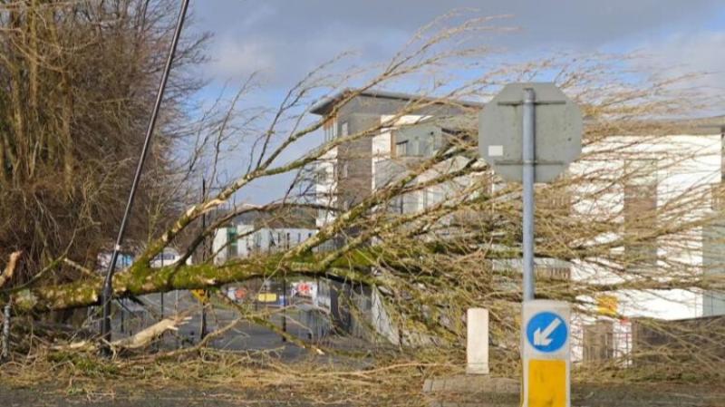 Storm Éowyn Report: Mayo communities face ongoing vulnerability 