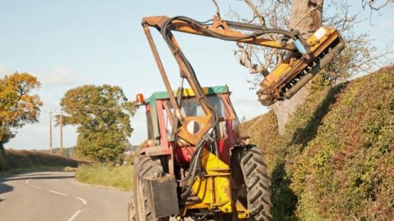 Mayo landowners may be reminded of their responsibility for maintaining trees and hedges