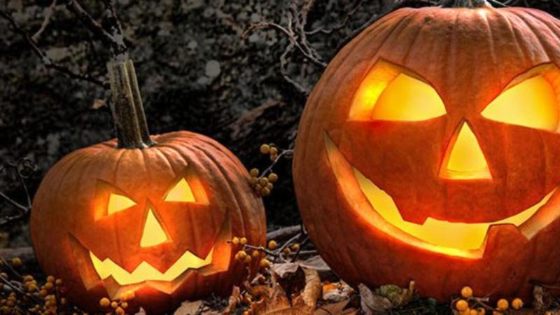 GUIDE: Here's what to do in Mayo this Halloween