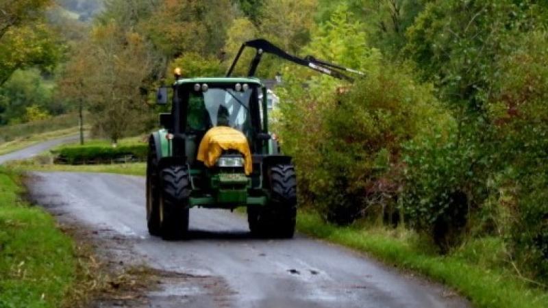 Renewed calls for action on overgrown hedges across Mayo