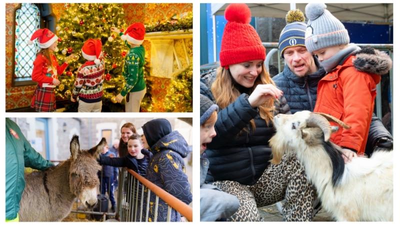 Christmas programme announced by National Museum of Ireland in Mayo