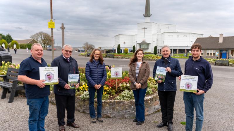 Knock Shrine in collaboration with Mayo County Council champions biodiversity 