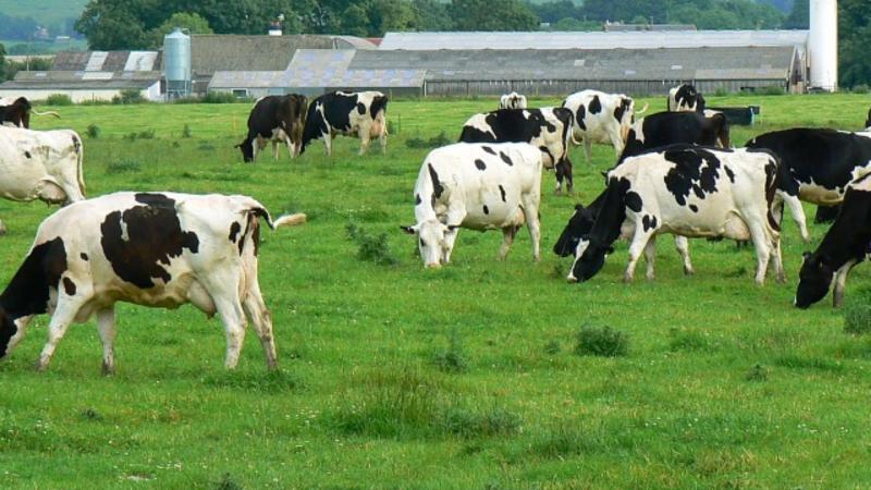 Mixed views on the three-year extension of Nitrates Derogation for Mayo farmers