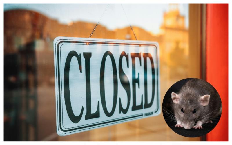 Dead rat and droppings found as part of popular Mayo food businesses forced to close