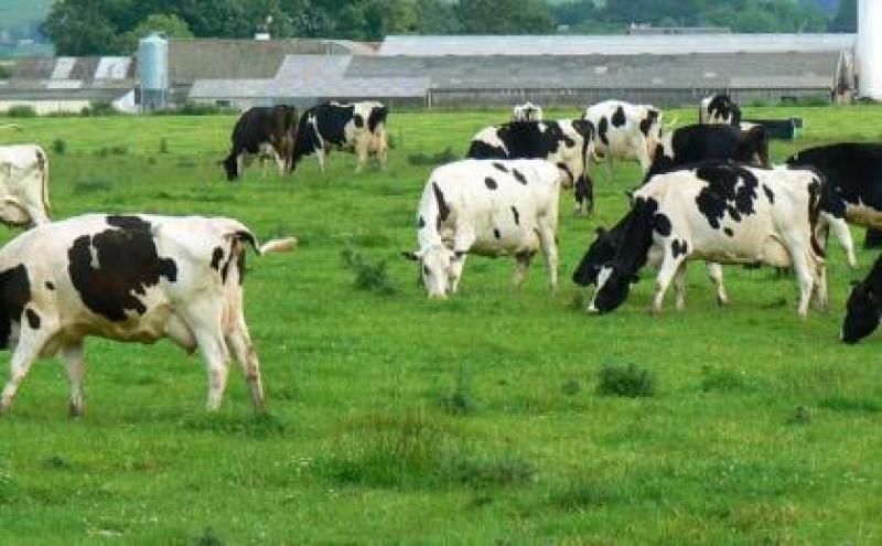 Mayo farmers encouraged to attend upcoming Mercosur protest 