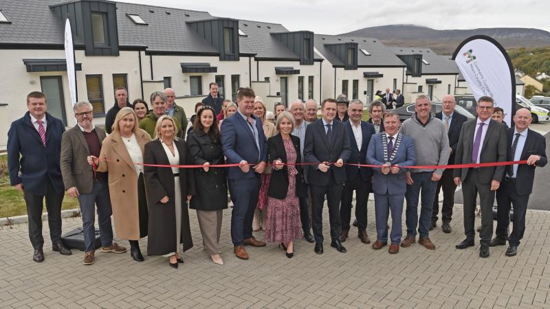 How many homes will Mayo County Council build this year?