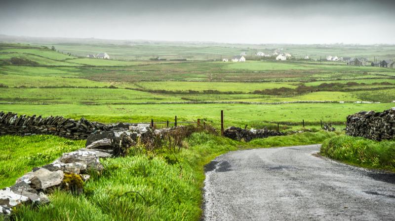OECD Review of development in Rural Ireland